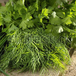 herbs